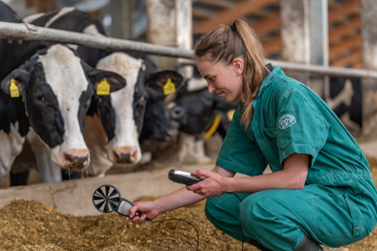 Milchleistung steigern, Methan reduzieren